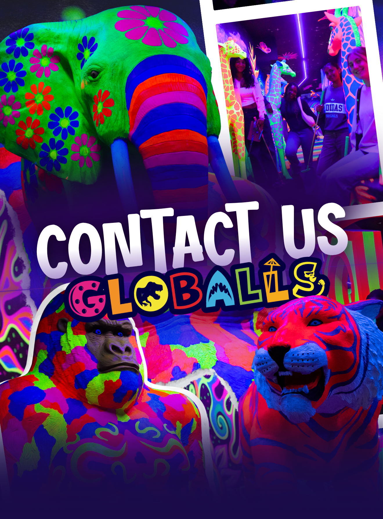 Contact us at GLOBALLS