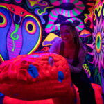 Things to do for all ages or weather conditions