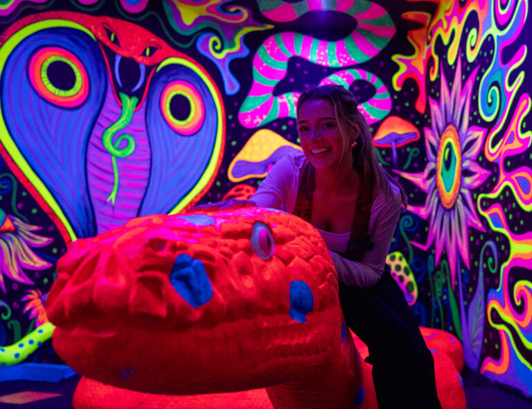 tickets and prices so book your packages today